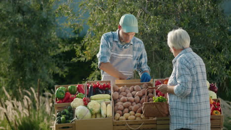 Ältere-Frau-Kauft-Gemüse-Auf-Einem-Bauernmarkt,-Der-Verkäufer-Legt-Das-Gemüse-In-Ihren-Korb.