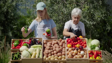 Grandmother-and-granddaughter-sell-vegetables-at-the-farmer's-market,-lay-out-vegetables-on-the-counter.-Family-business-concept