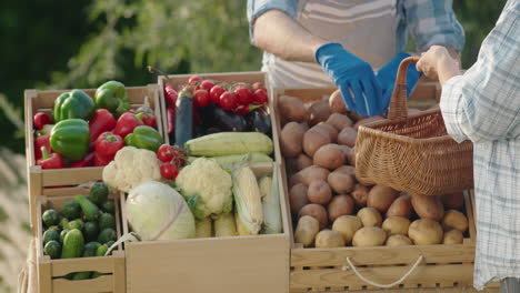 A-woman-buys-fresh-vegetables-at-a-farmer's-market.-The-shop-assistant-hands-her-a-basket-of-vegetables.