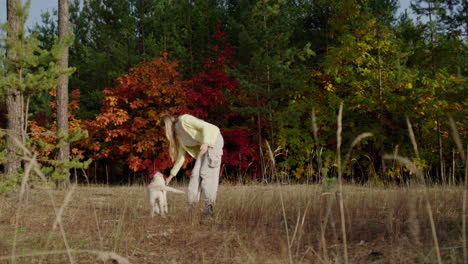 Teenage-girl-playing-with-a-dog-in-a-picturesque-autumn-forest