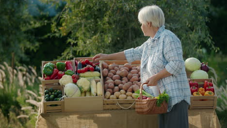 An-old-lady-chooses-vegetables-at-an-agricultural-fair.-Standing-next-to-the-counter