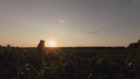 Two-farmers-walking-through-a-corn-field-at-sunset