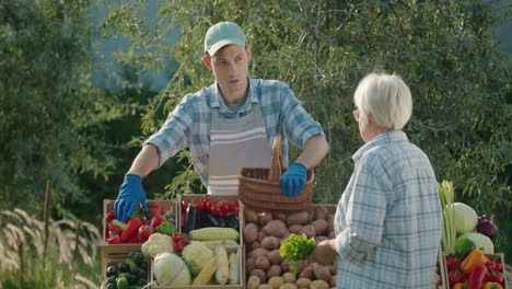 Eine-ältere-Frau-Kauft-Gemüse-Auf-Einem-Bauernmarkt,-Der-Verkäufer-Legt-Das-Gemüse-In-Ihren-Korb.