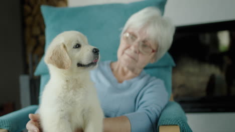 A-lovely-elderly-woman-is-resting-in-a-chair-with-a-puppy-in-her-arms.-Secure-old-age-and-well-being