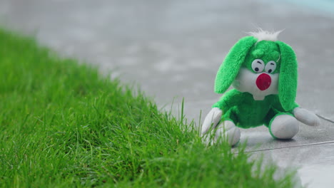 A-plush-hare-sits-in-the-pouring-rain-on-a-garden-path