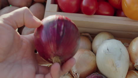 The-buyer's-hand-takes-onions-from-the-counter,-first-person-view
