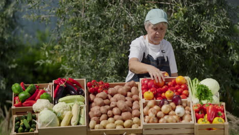 Elderly-woman-farmer-selling-vegetables-at-farmers-market