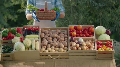 Vendor-holding-a-basket-of-vegetables-at-a-farmer's-market-counter