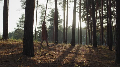 A-woman-with-a-dog-walks-among-tall-pines-in-the-forest