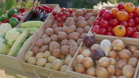 Un-Hermoso-Puesto-De-Verduras-En-El-Mercado-De-Agricultores.-Comida-Saludable-De-Agricultores-Locales