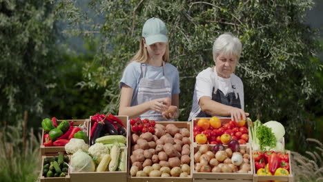 A-girl-and-her-grandmother-lay-out-vegetables-at-a-farmer's-market-counter
