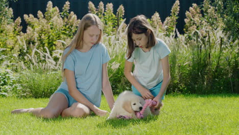 Two-children-playing-with-a-puppy-in-the-backyard-of-the-house