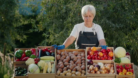 Portrait-of-an-elderly-woman-seller-at-a-farmer's-market.-Standing-behind-a-counter-with-local-vegetables
