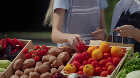 Eine-Frau-Und-Ihre-Enkelin-Verkaufen-Gemüse-Auf-Dem-Markt-–-Sie-Packen-Tomaten-In-Eine-Papiertüte.-Im-Rahmen-Sind-Nur-Hände-Sichtbar