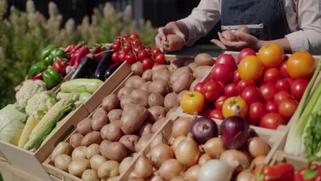 Farmer's-hands-placing-potatoes-on-farmer's-market-counter