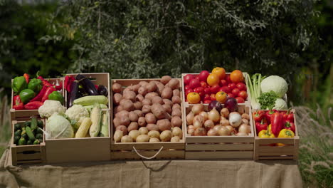 A-stall-with-various-vegetables-at-a-farmers'-market.-Front-view