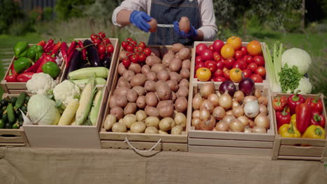 Farmer's-gloved-hands-laying-out-vegetables-on-the-farmer's-market-counter