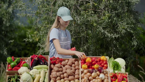 A-teenage-girl-sells-seasonal-vegetables-at-a-farmers'-market.-Arranges-vegetables-on-the-counter