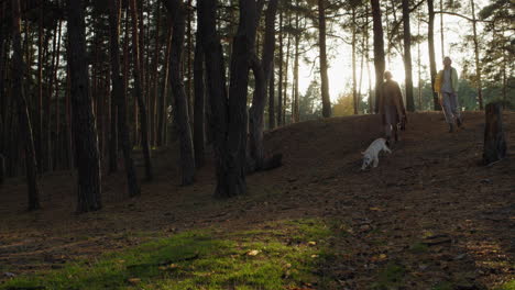 Eine-Frau-Spaziert-Mit-Ihrer-Tochter-Und-Einem-Hund-Bei-Sonnenuntergang-Durch-Den-Herbstwald