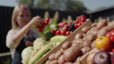 Una-Mujer-Coloca-Verduras-En-El-Mostrador-Y-Las-Comercializa-En-El-Mercado-De-Agricultores.-En-Primer-Plano-Hay-Una-Caja-De-Patatas