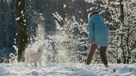 An-active-middle-aged-woman-plays-with-a-golden-retriever-in-a-winter-park,-throwing-snow-at-the-pet.-Having-a-good-time-together