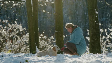 Woman-giving-a-treat-to-her-dog-while-walking-in-a-snowy-park-on-a-clear-winter-day