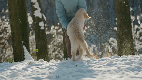 Woman-running-in-the-snow-with-her-dog,-having-a-good-time-on-a-walk-in-the-winter-forest