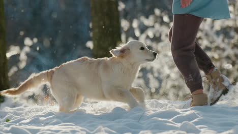 Pet-owner-running-in-the-snow-with-her-dog,-having-a-good-time-on-a-walk-in-the-winter-forest