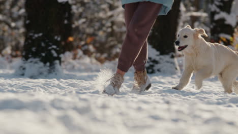 Mujer-Corriendo-En-La-Nieve-Con-Su-Perro,-Pasando-Un-Buen-Rato-En-Un-Paseo-Por-El-Bosque-Invernal.