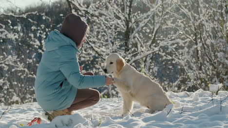 Woman-training-a-dog-in-a-winter-park,-the-dog-gives-a-paw-to-the-owner