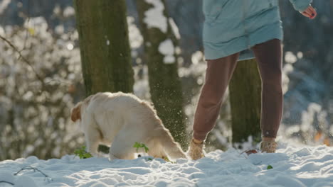 Tierbesitzerin-Läuft-Mit-Ihrem-Hund-Im-Schnee-Und-Vergnügt-Sich-Bei-Einem-Spaziergang-Im-Winterwald.-Zeitlupenvideo