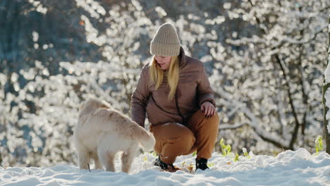 Young-woman-playing-with-her-golden-retriever-in-a-snowy-park-on-a-clear-winter-day