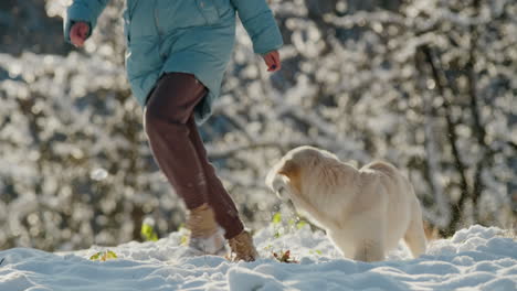 Pet-owner-running-in-the-snow-with-her-dog,-having-a-good-time-on-a-walk-in-the-winter-forest.-Slow-motion-video
