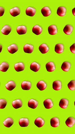 pattern-of-animated-tomatoes-in-vertical
