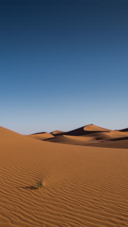 Dunas-En-El-Desierto-Del-Sahara,-Marruecos-En-Vertical