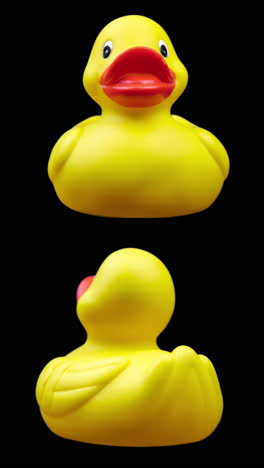 yellow-rubber-duck-in-vertical