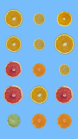 pattern-of-animated-citrus-fruits-in-vertical