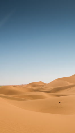 dunes-in-sahara-desert,-morocco-in-vertical