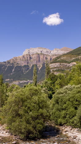 Parque-Natural-Monte-Pedido-En-Aragón-España-En-Vertical