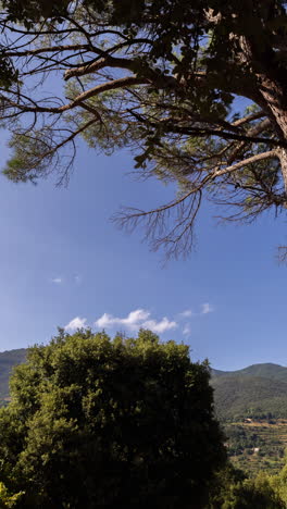 montseny-mountain,-Calalonia,-Spain-in-vertical