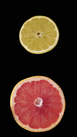 pattern-of-animated-citrus-fruits-in-vertical