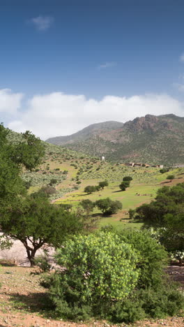 Arganbaumlandschaft-Im-Atlas,-Marokko-In-Vertikaler