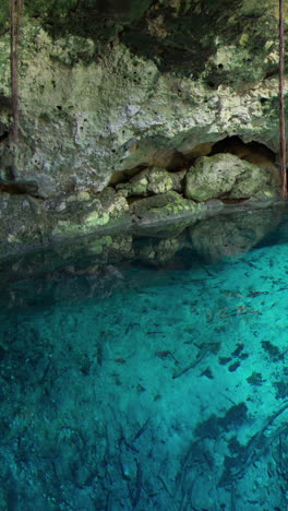 Zeitraffer-Einer-Cenote-In-Mexiko-Im-Hochformat