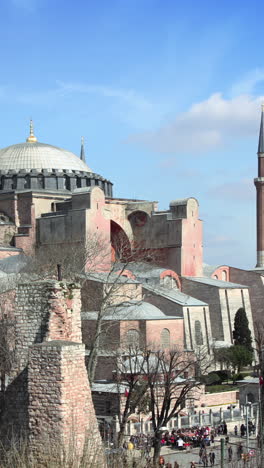 Mezquita-En-Estambul,-Turquía-En-Vertical.