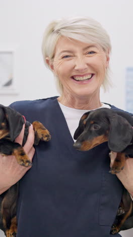 Face,-smile-and-puppies-with-an-old-woman-vet
