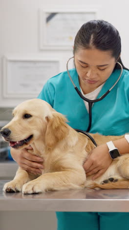 Woman,-veterinary-and-doctor-with-dog