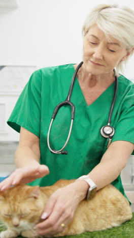 Veterinary,-woman-and-cat-with-ear-check
