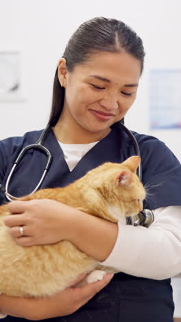 Face,-vet-and-happy-woman-with-pet-cat-for-care