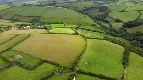 4K-Drohnenaufnahmen-Der-Atemberaubenden-Landschaft-Der-Felder-In-Der-Nähe-Von-Port-Isaac-In-Cornwall