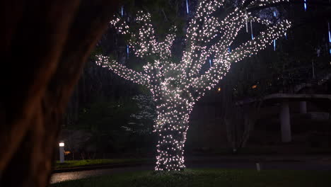 Un-Hermoso-árbol-Decorado-Con-Luces-En-La-Noche-Para-Navidad,-Un-Museo,-Un-Parque-Infantil-O-Un-Evento-Especial---Concepto:-Perspectiva,-Mundo-De-Ensueño,-Pandora,-árbol-Madre,-Celebración,-Magia